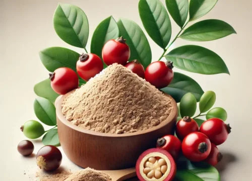 04 - organic-guarana-extract-5-percent-caffeine-organic-products-botanical-tea-extracts1-800x800